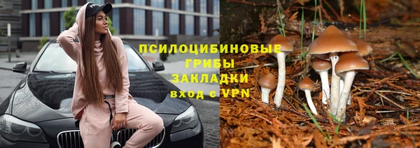 apvp Баксан