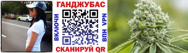 наркотики  Лахденпохья  Канабис сатива 